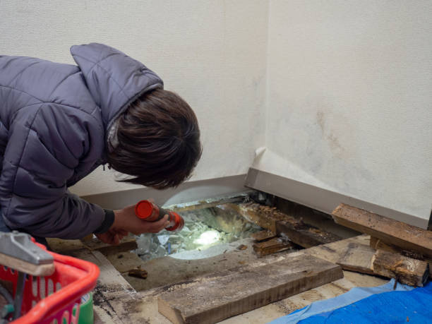 Best HVAC Mold Inspection and Cleaning  in Audubon, PA