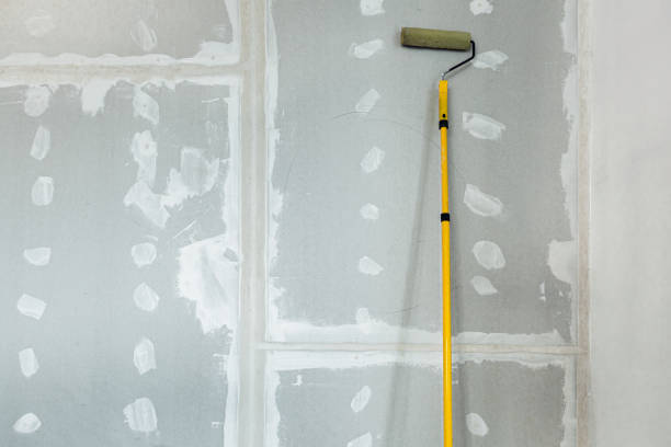 Best Dehumidification Services  in Audubon, PA