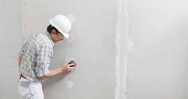 Best Dehumidification Services  in Audubon, PA