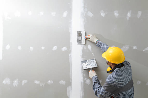Best Basement Mold Removal  in Audubon, PA
