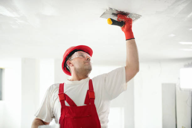 Best Residential Mold Inspection & Testing  in Audubon, PA